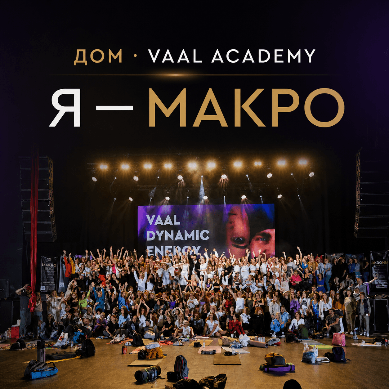 ДОМ · VAAL Academy - МАКРОСООБЩЕСТВО