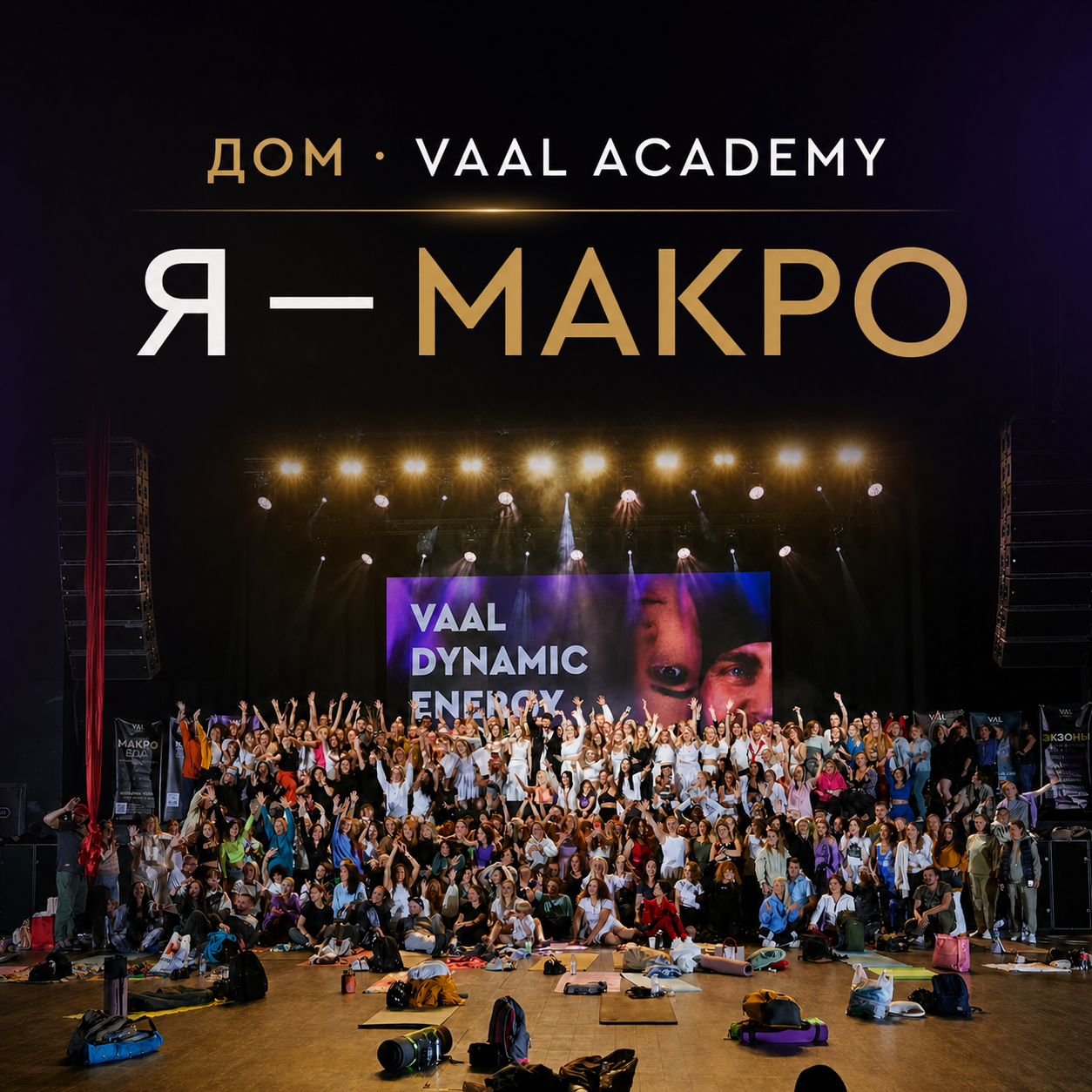 Поддержка проекта ДОМ · VAAL Academy